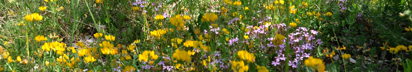 La haute vallée de l’Ouvèze